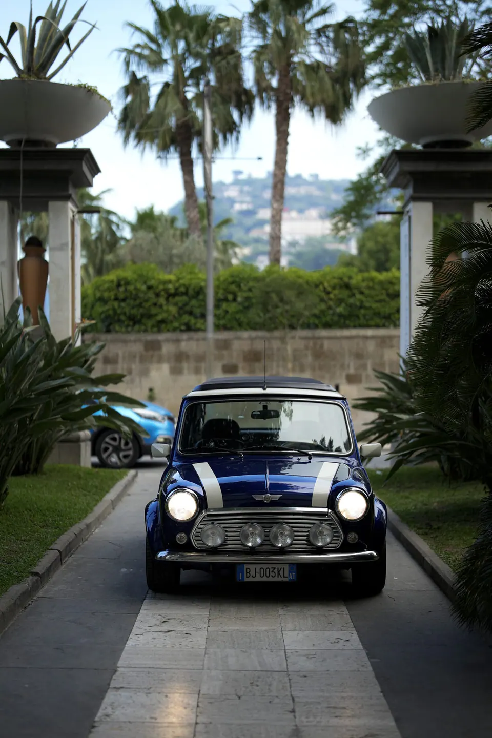 A vintage blue Mini parked on a driveway lined with palms