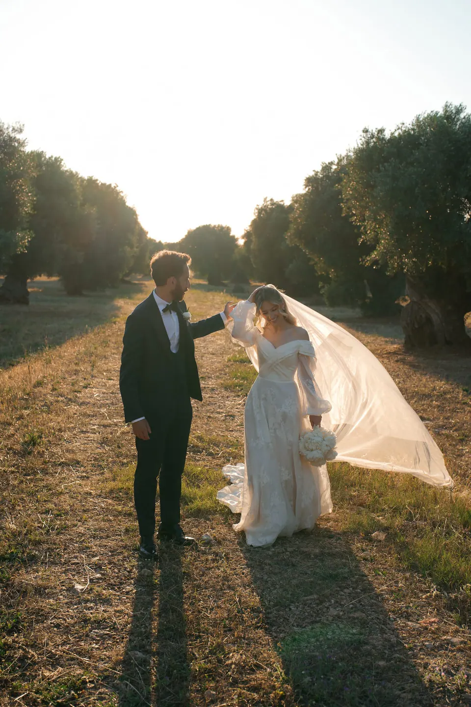 El novio levanta el velo de la novia en el olivar al atardecer.