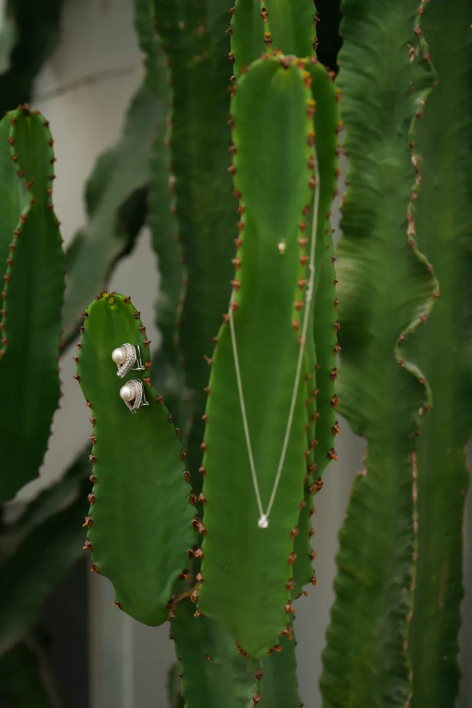 Bride's necklace hanging from a cactus, getting-ready detail.