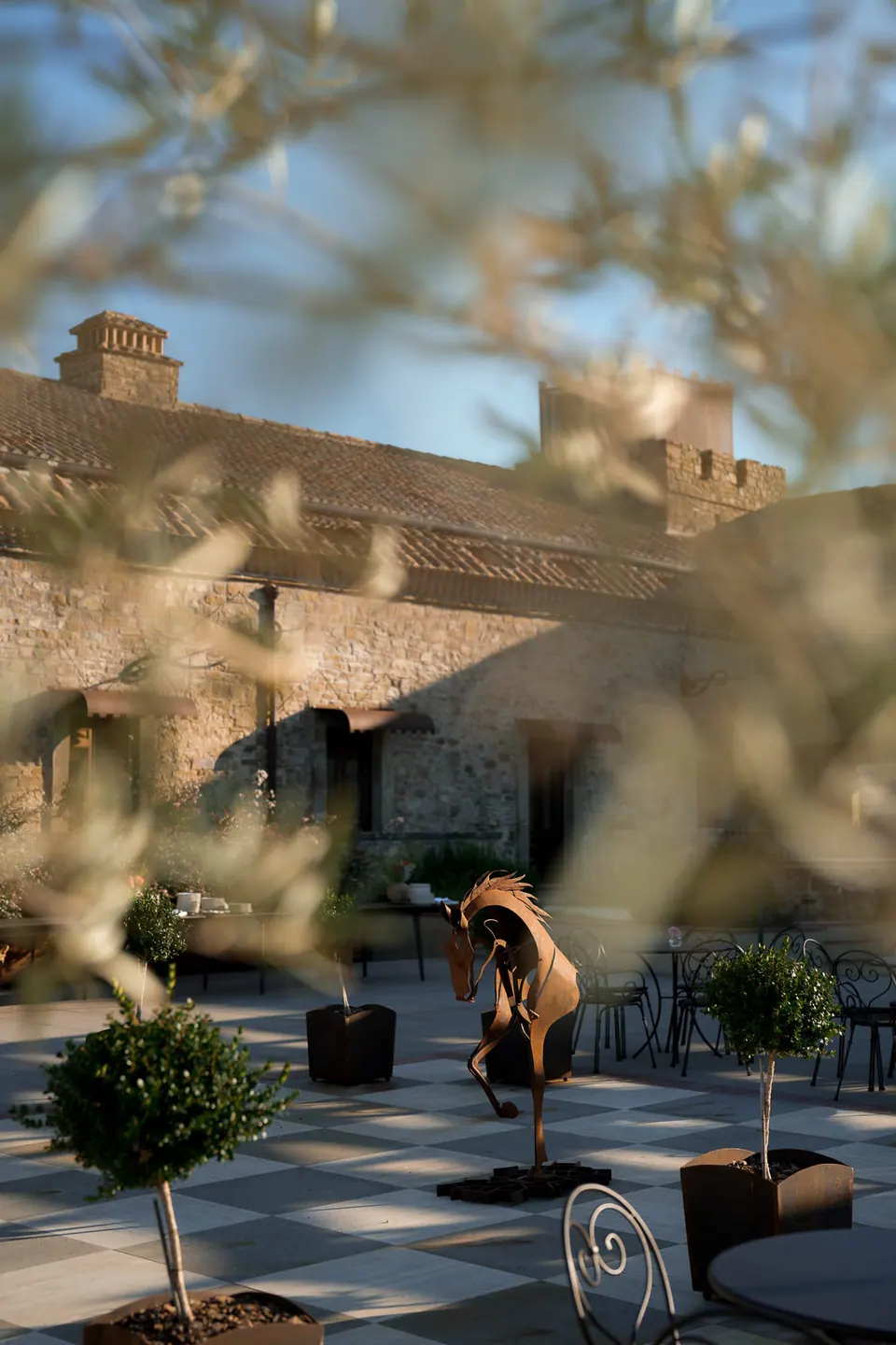 Terrazza del castello vista attraverso le foglie d'ulivo nella luce della sera.