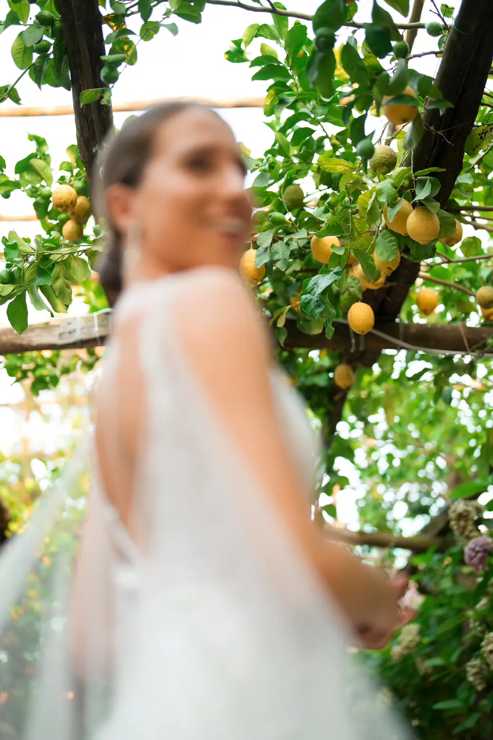 Bride turning back with a smile under the lemon pergola.