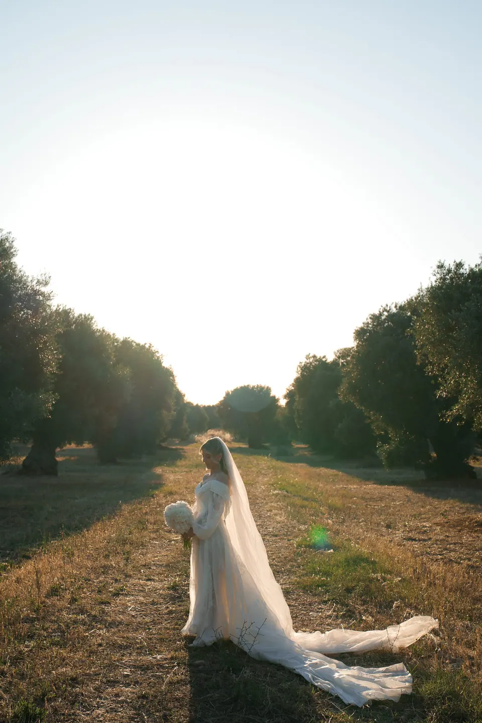 La novia camina por el olivar con luz dorada.