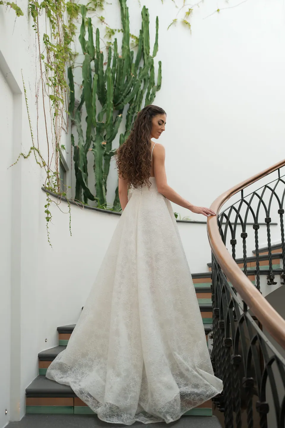Bride seen from behind on the curving staircase, cacti beside her.