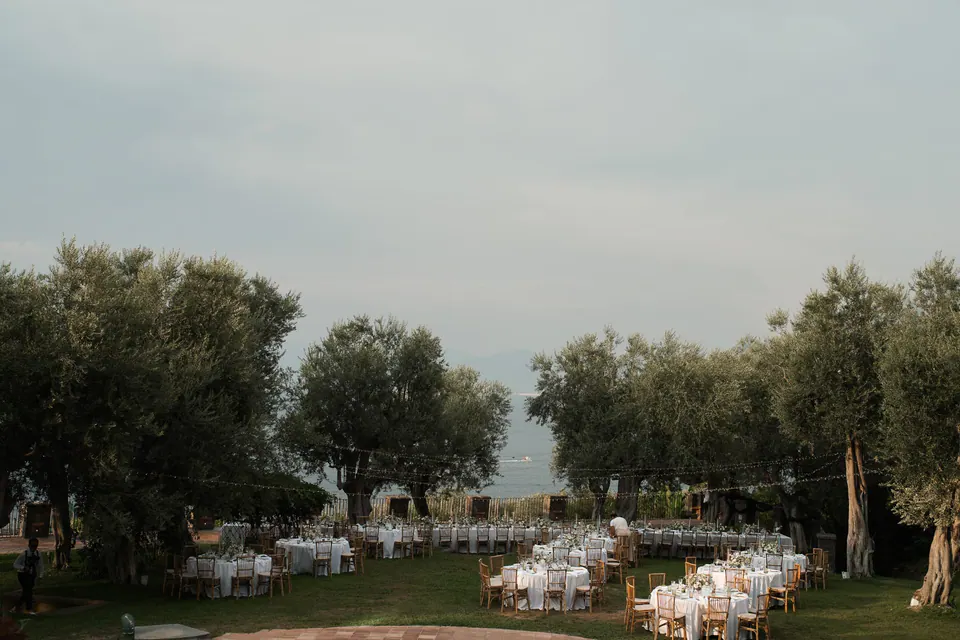 Panoramic view of the outdoor reception setup beneath olive trees.