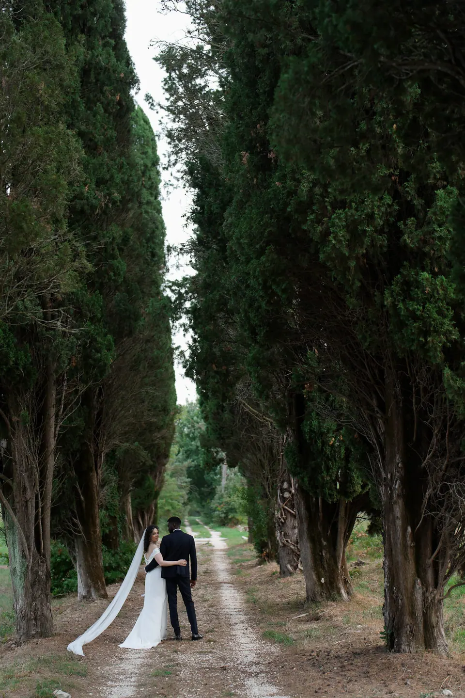 Los novios, diminutos bajo cipreses altísimos, con el velo extendido por la avenida.