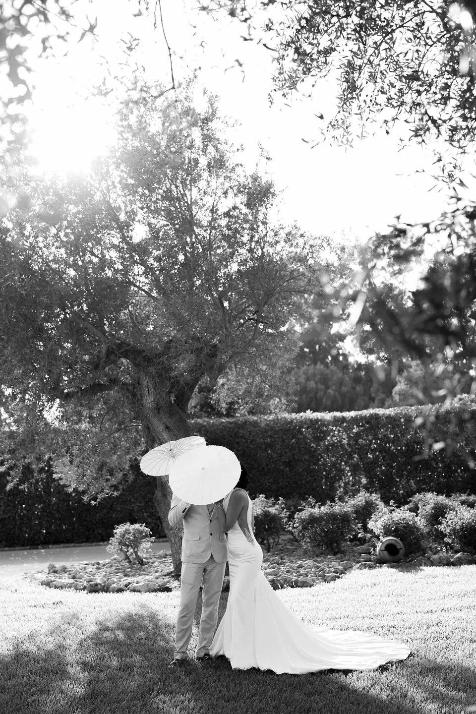 Les mariés sous une ombrelle en papier parmi les oliviers, au soleil de l’après-midi, en noir et blanc.