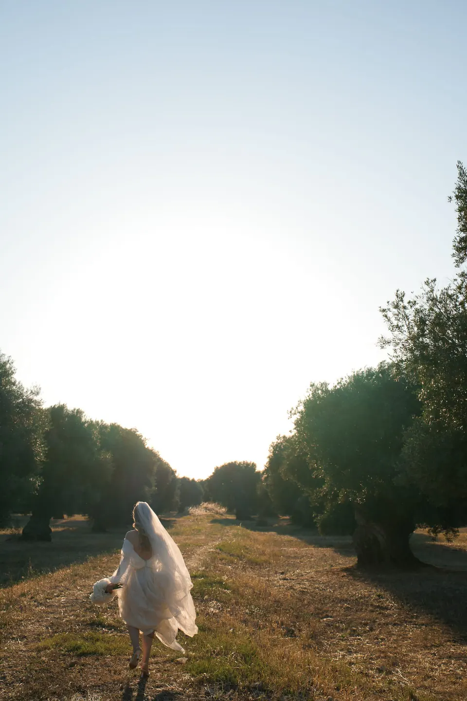La novia camina por un olivar a contraluz del sol bajo.