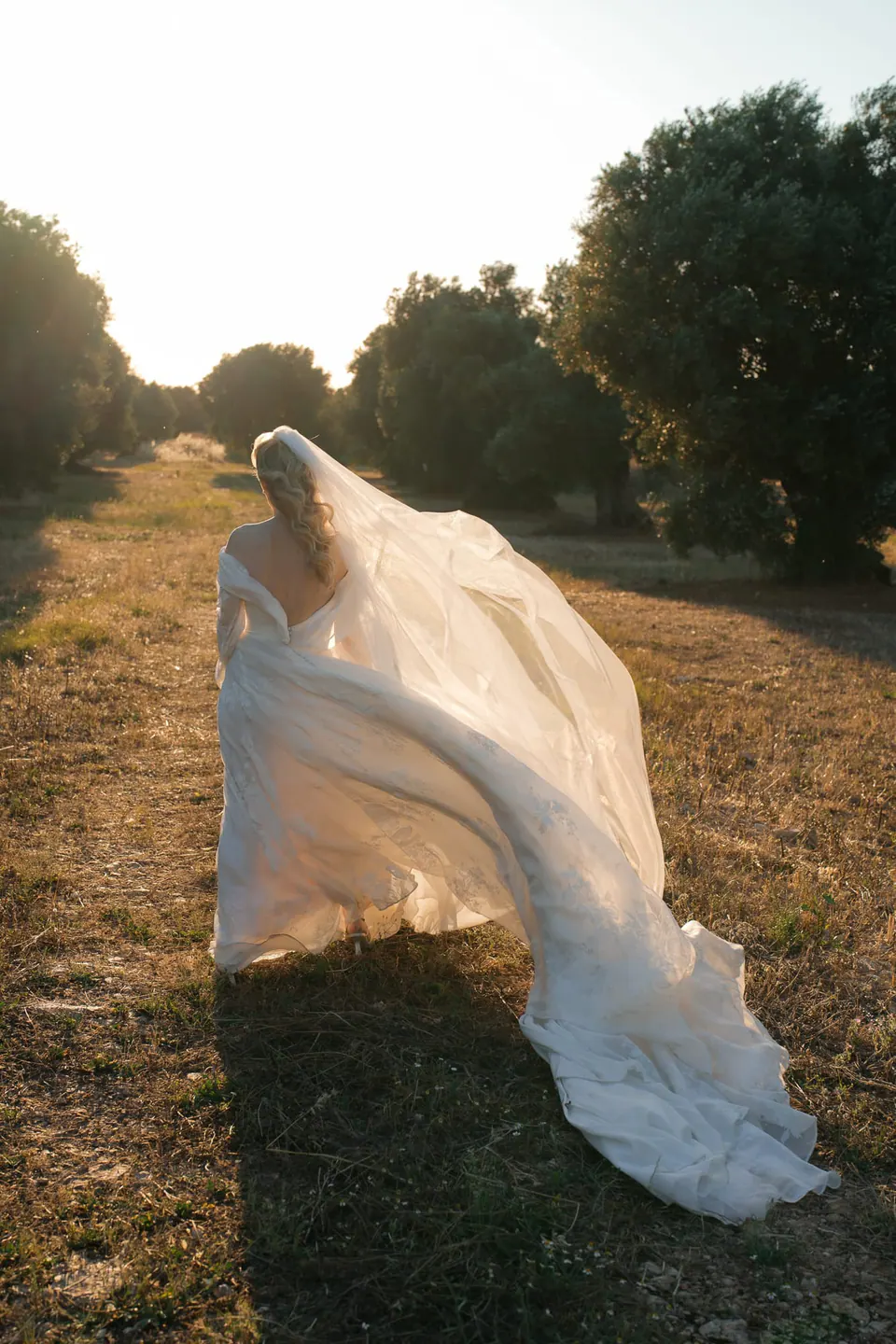 El velo de la novia levantado por el viento en la hora dorada en Apulia.